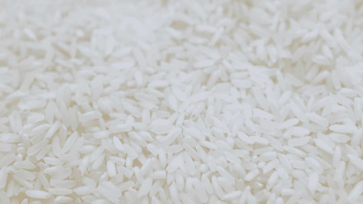 Arroz-848×477-1