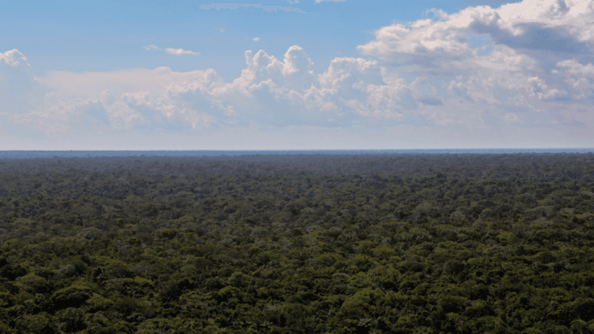 Manaus-Amazonia-848×477-1