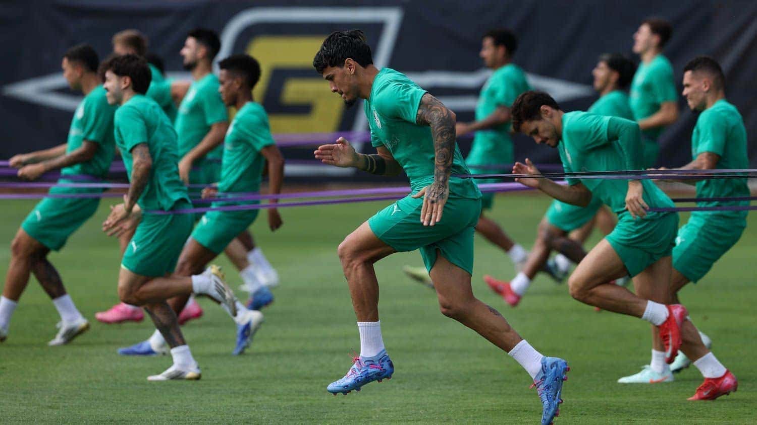 Palmeiras-Treino
