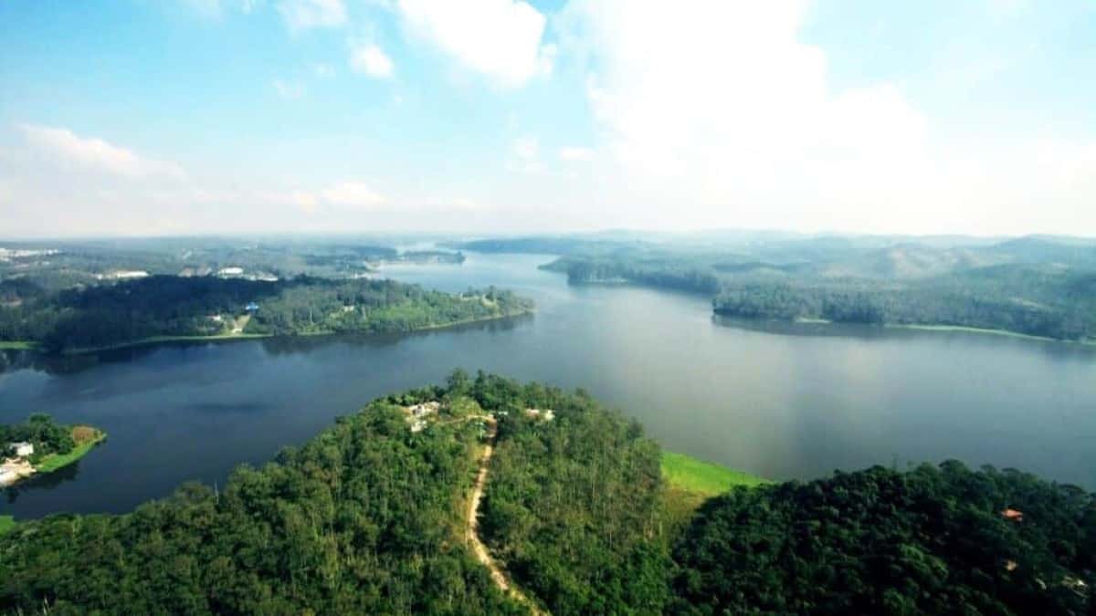 Represa-Billings-1-2-1024×683-1