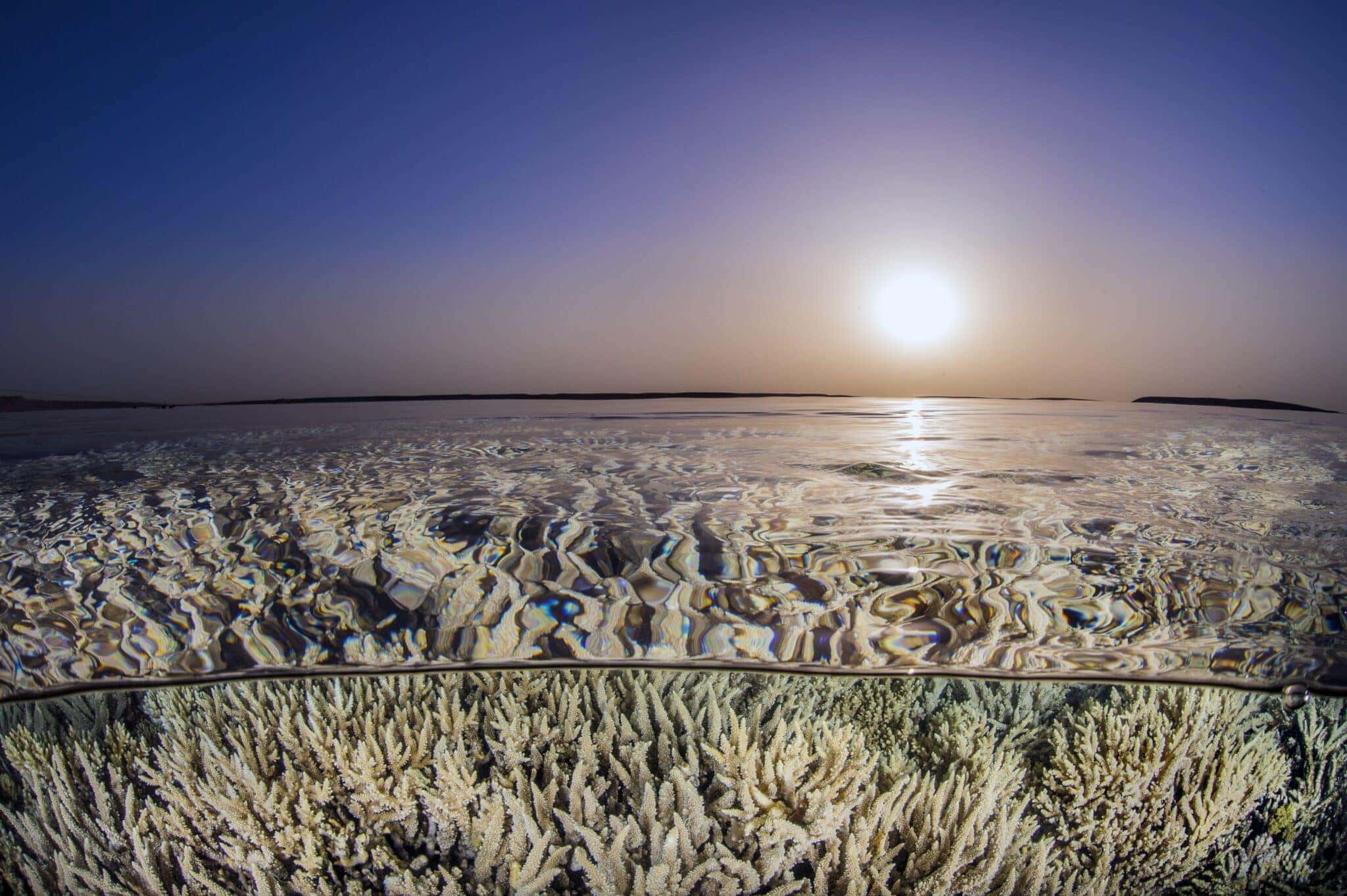 oceano