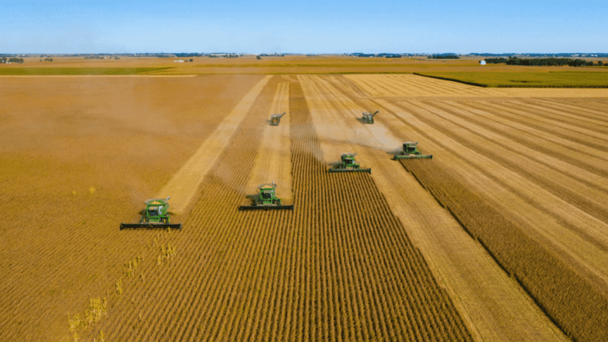 Campo-de-soja-848×477-1