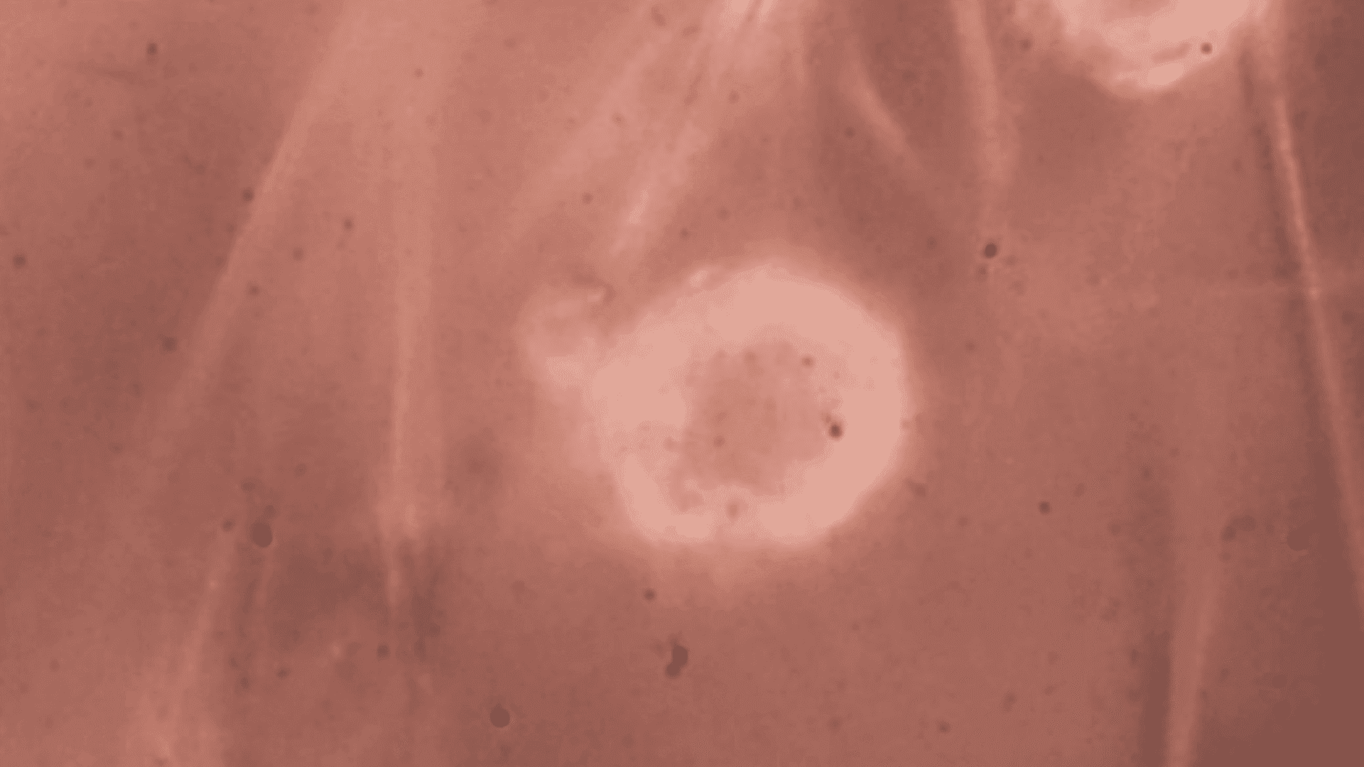 Foto-25