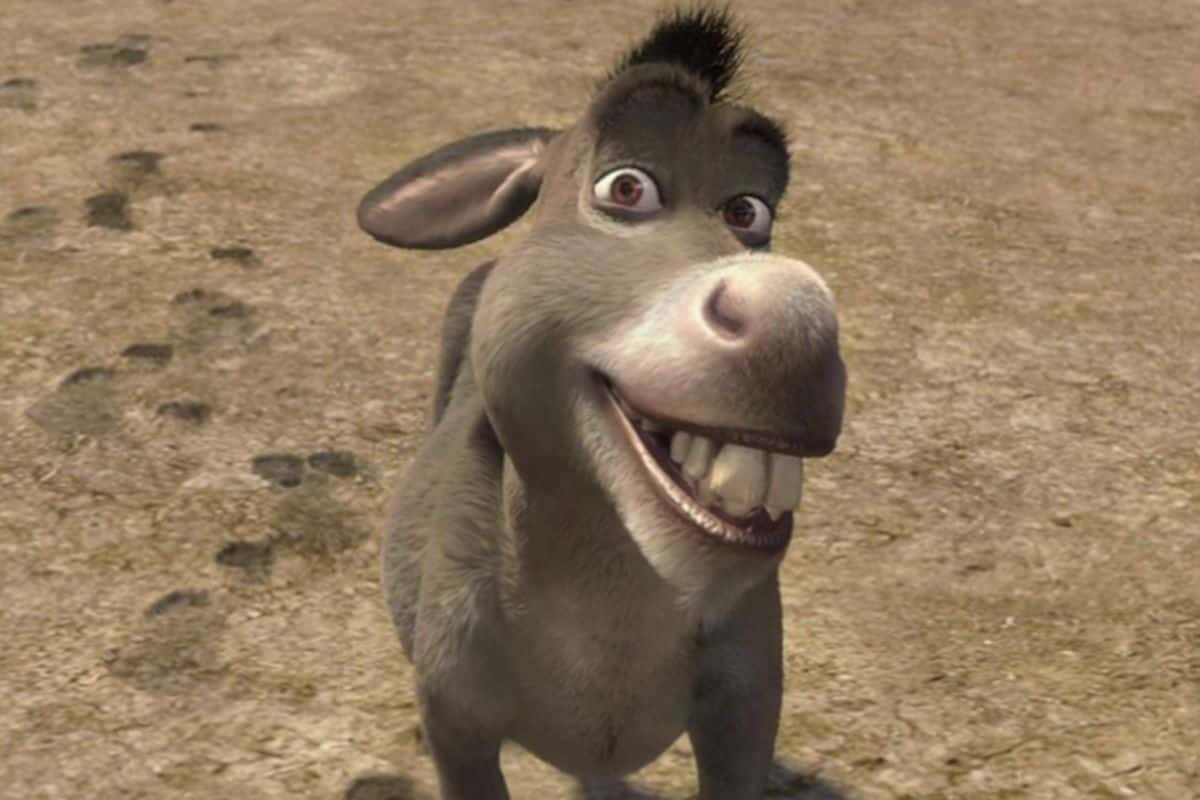 Shrek-Burro-Spin-Off