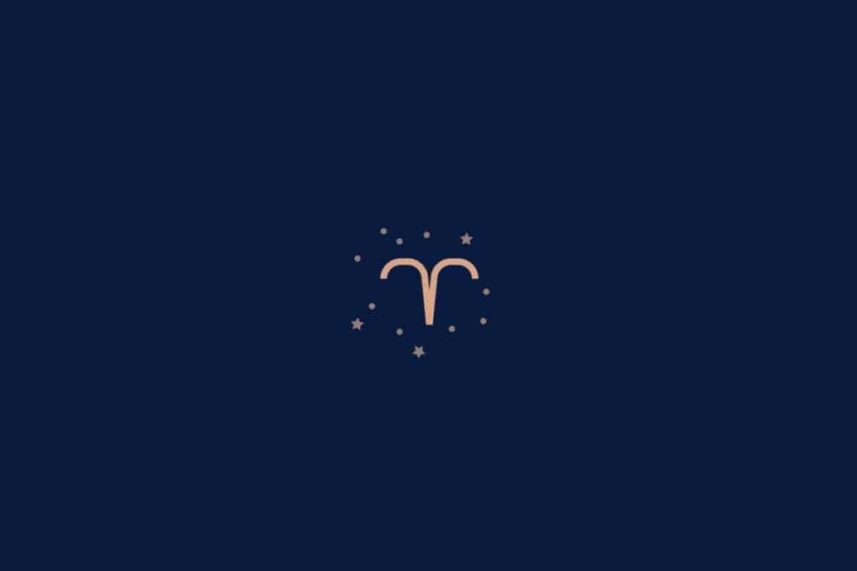 aries-6-1024×683-1