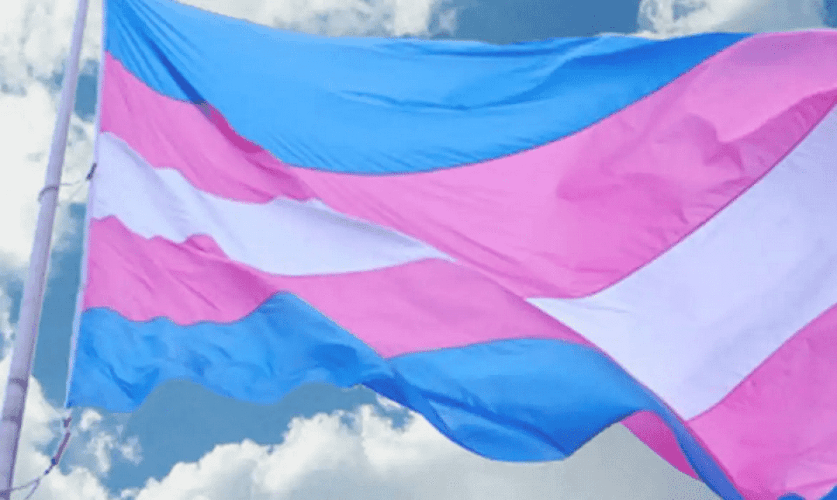 bandeira-trans