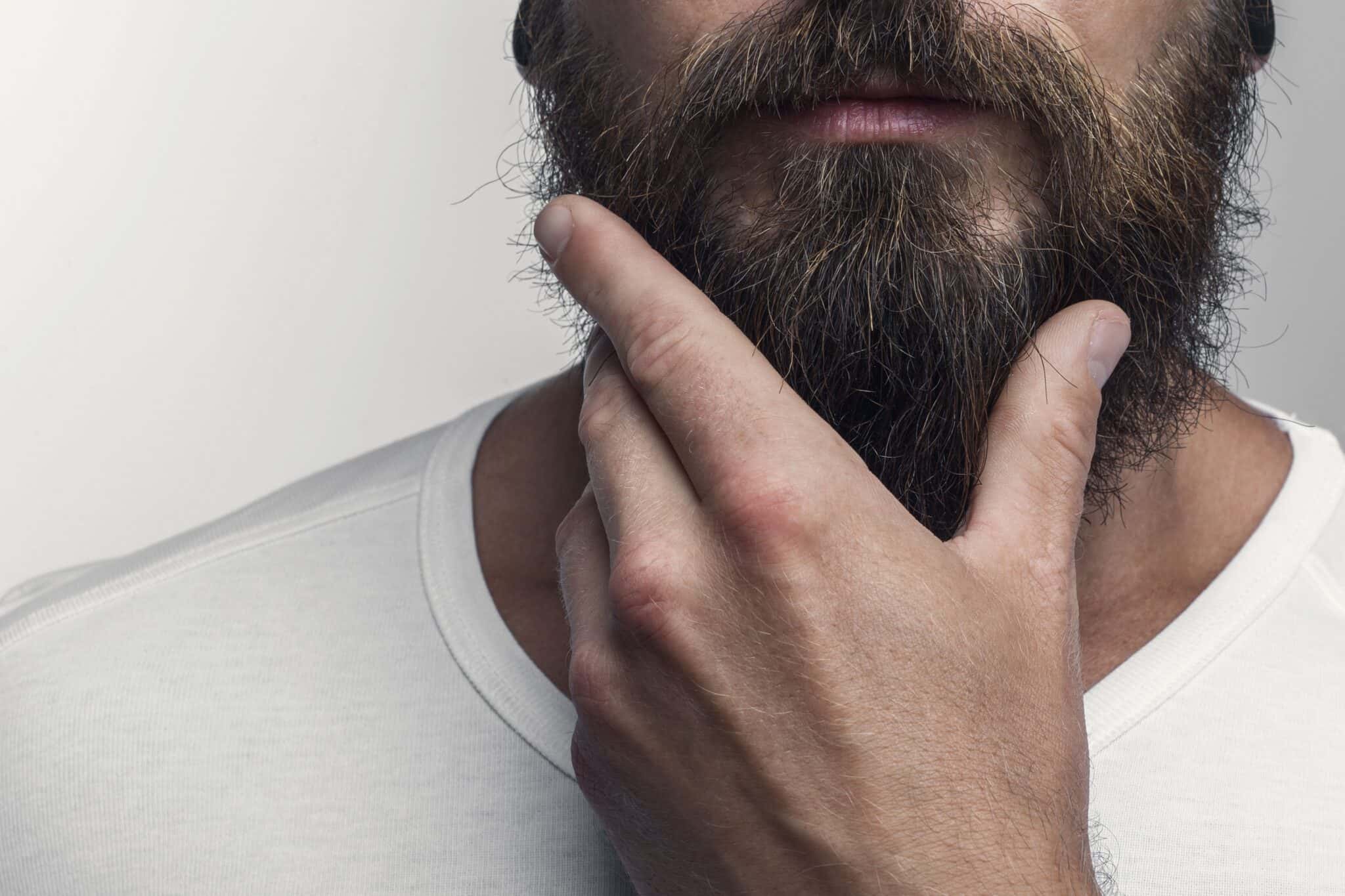 barbas