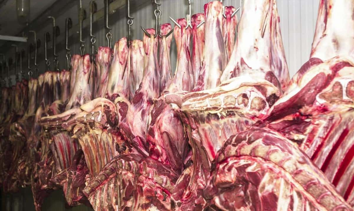 Carne fresca,Açougues, Frigoríficos, alimento