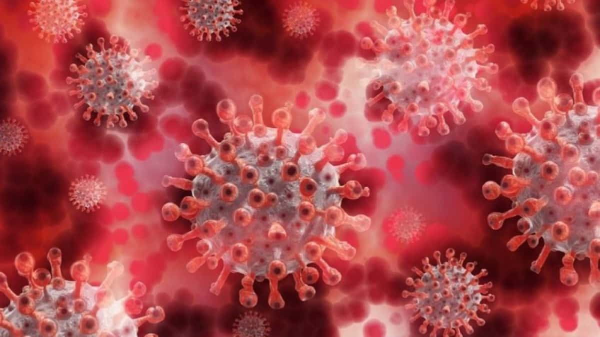 coronavirus-3-848×477-1