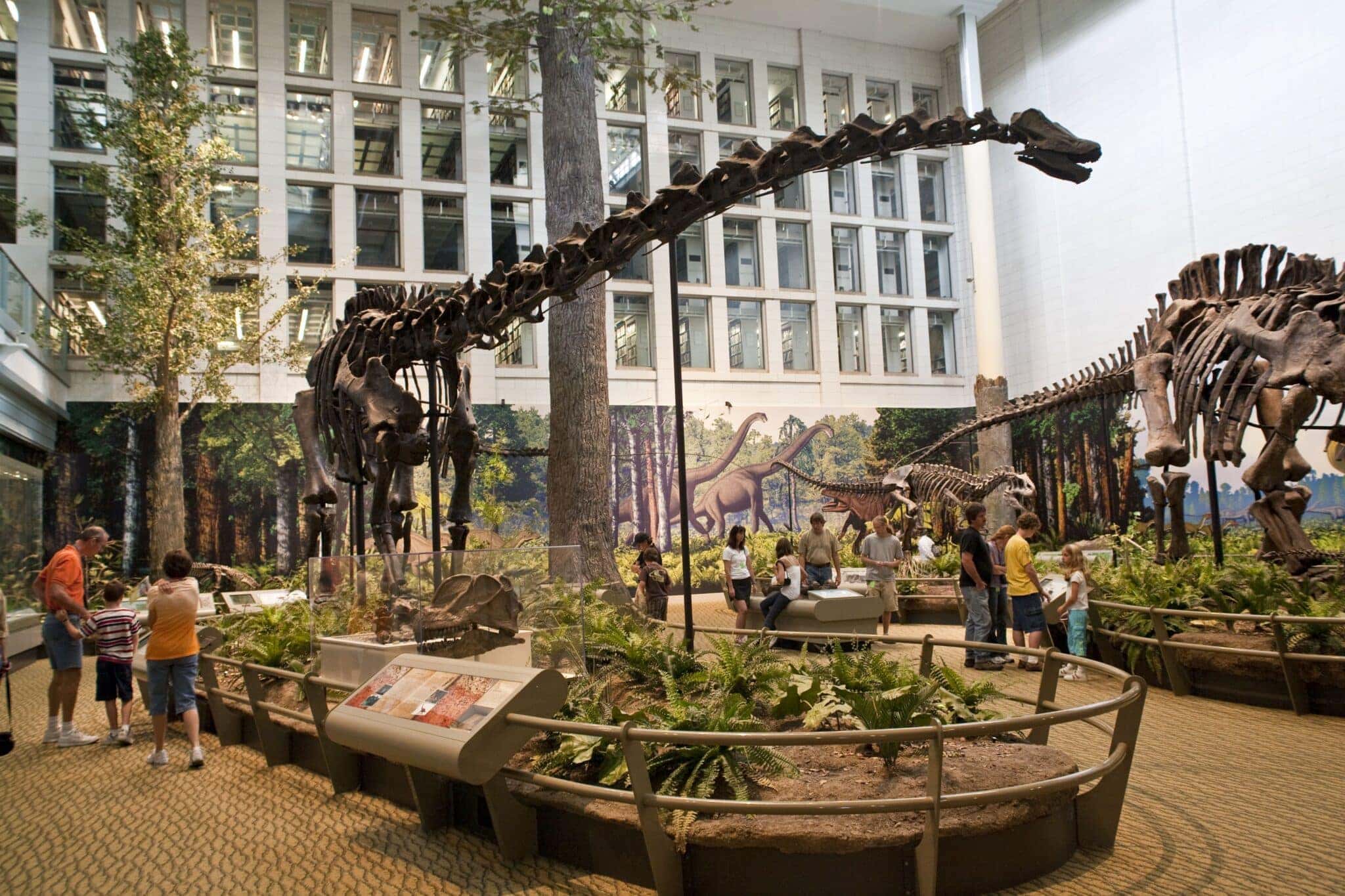 diplodocus-dinossauro