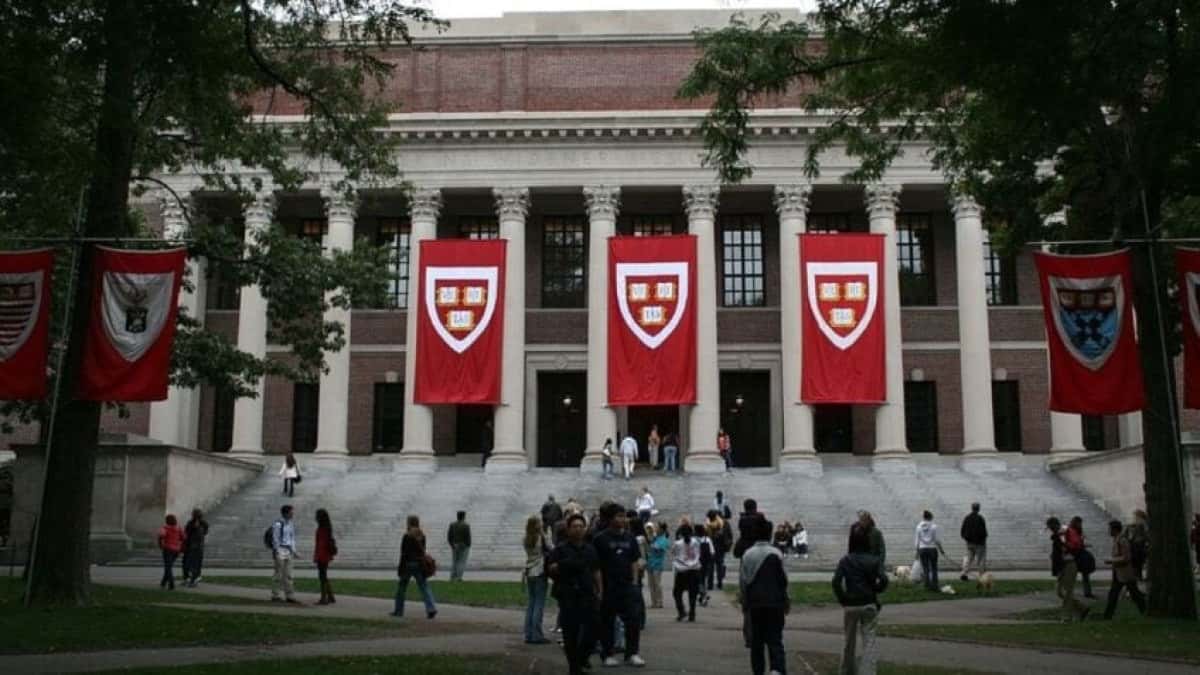 harvard-campus-alunos-848×477-1