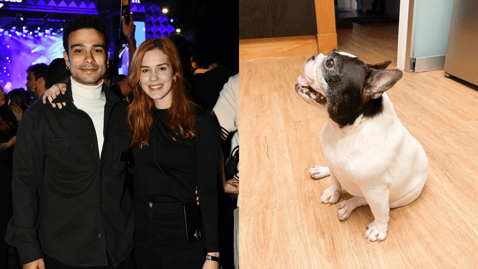 sophia-abrahao-sergio-malheiros-cachorro