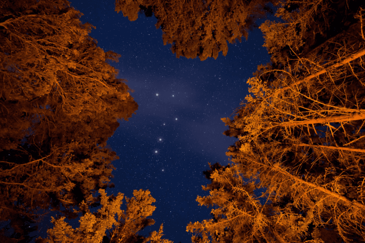 Estrelas-constelacoes-celular