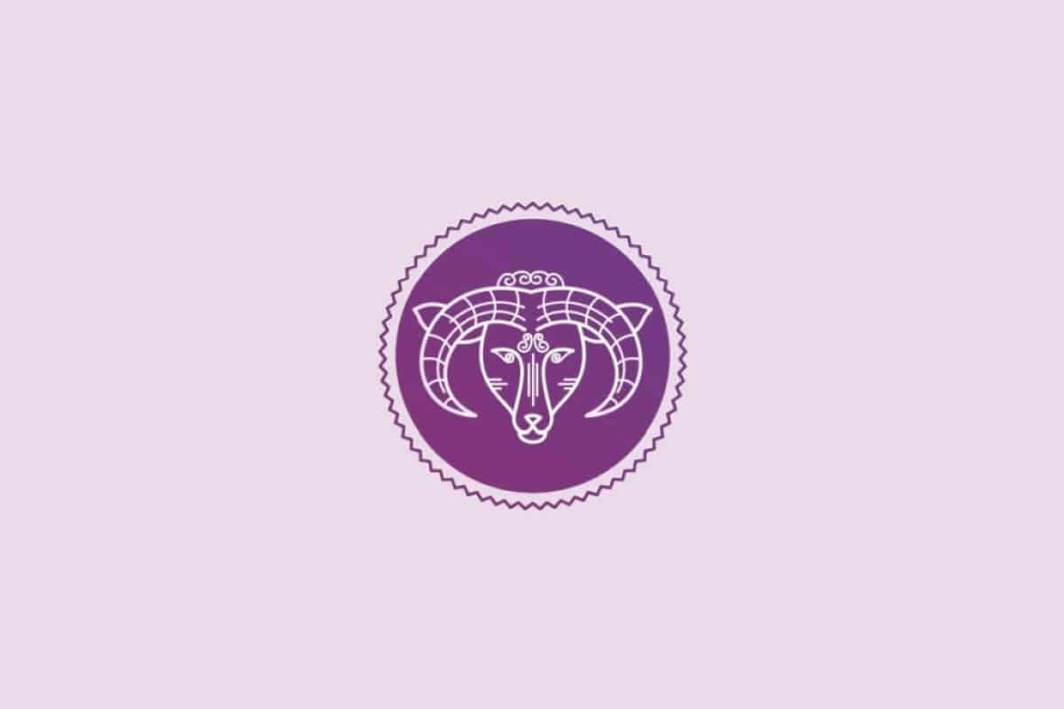 aries-7-1024×683-1