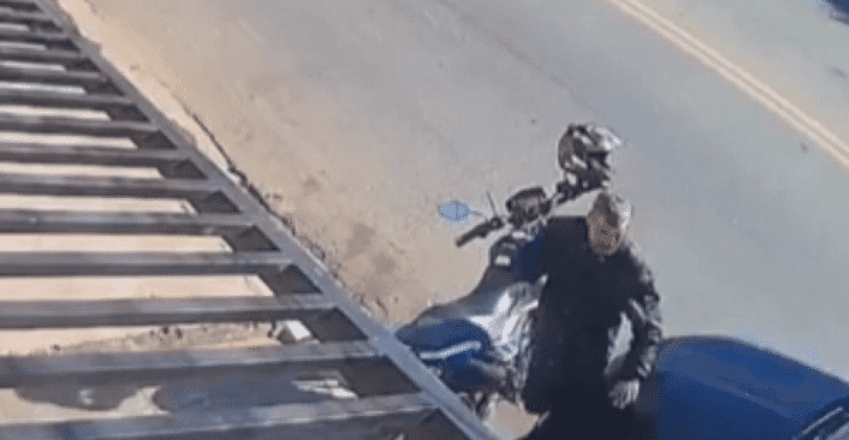 atropelado