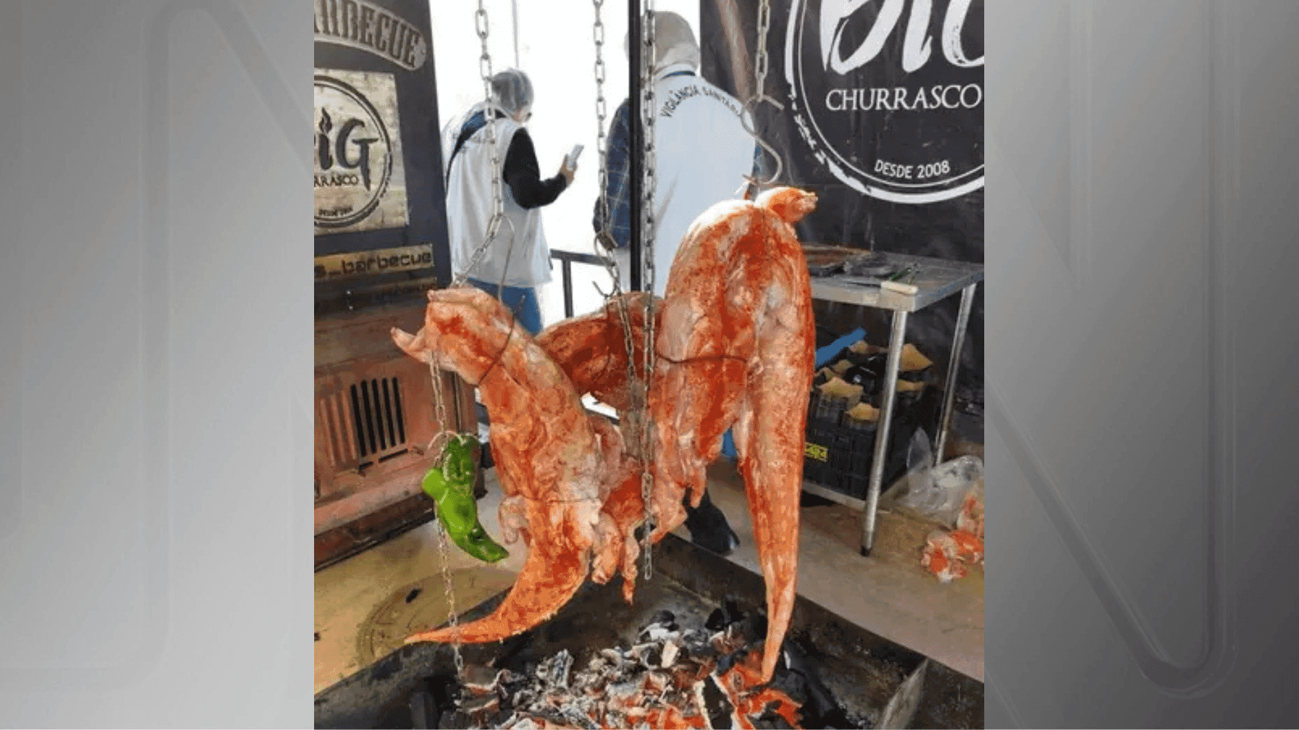 carne-jacare