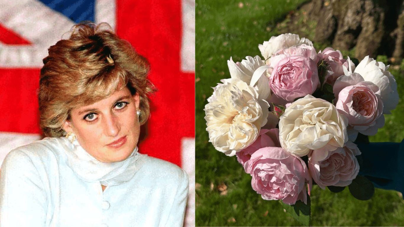 homenagem-diana