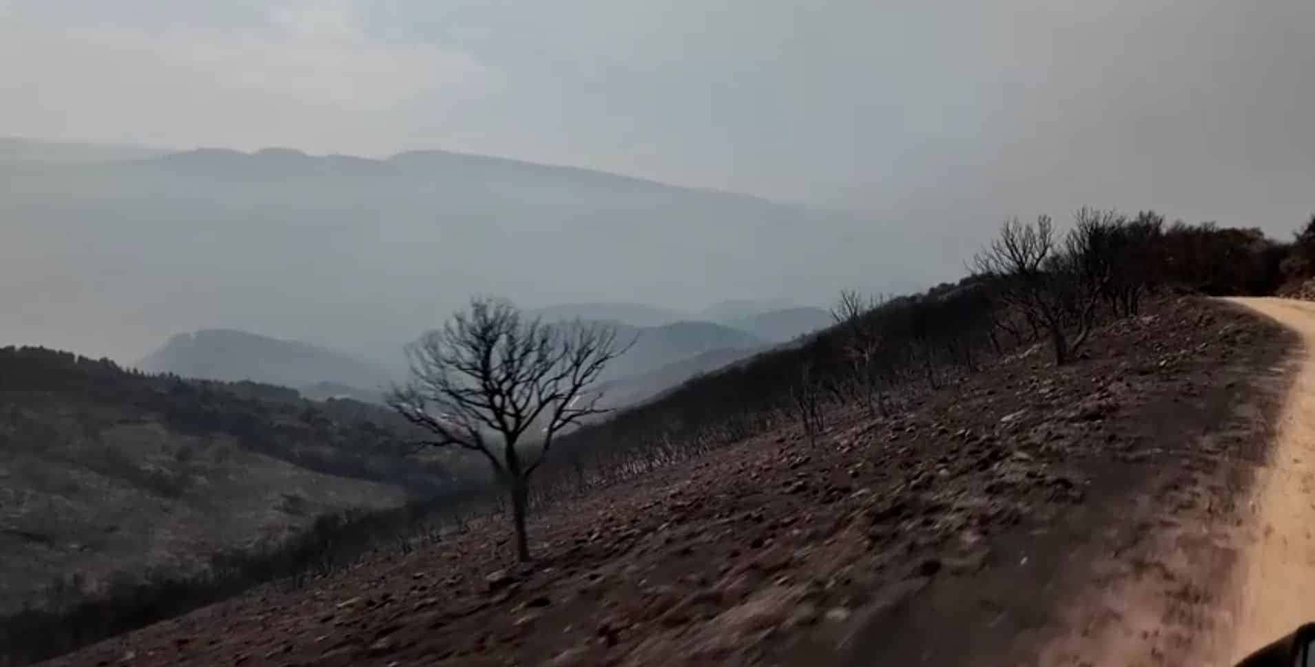 incendio-parque-espanha