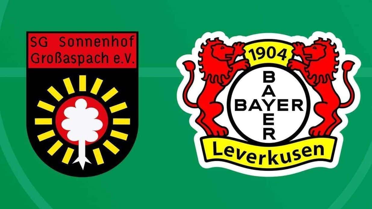 jogo_leverkusen_copa-e1755261302765