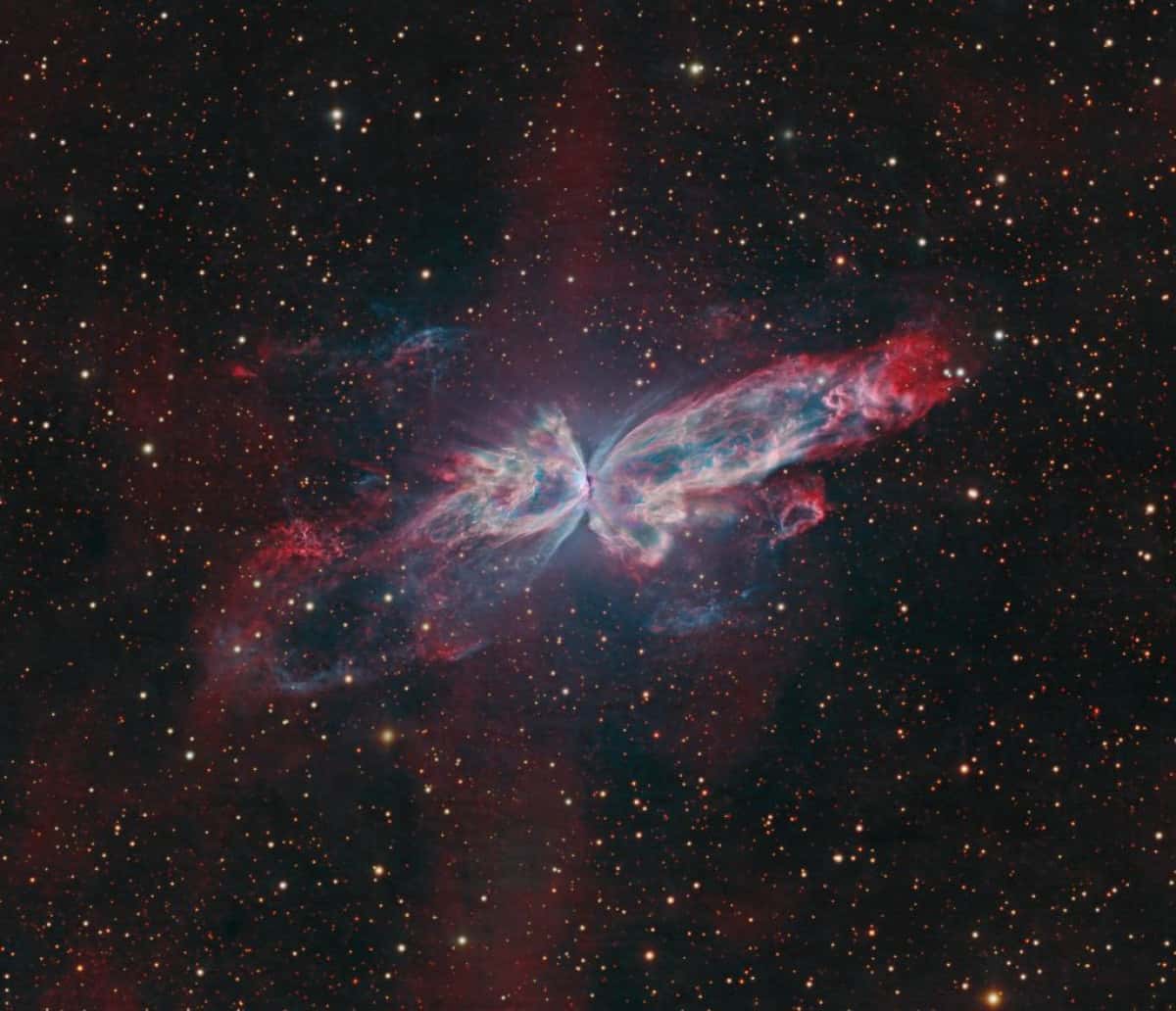 nebulosa-da-borboleta
