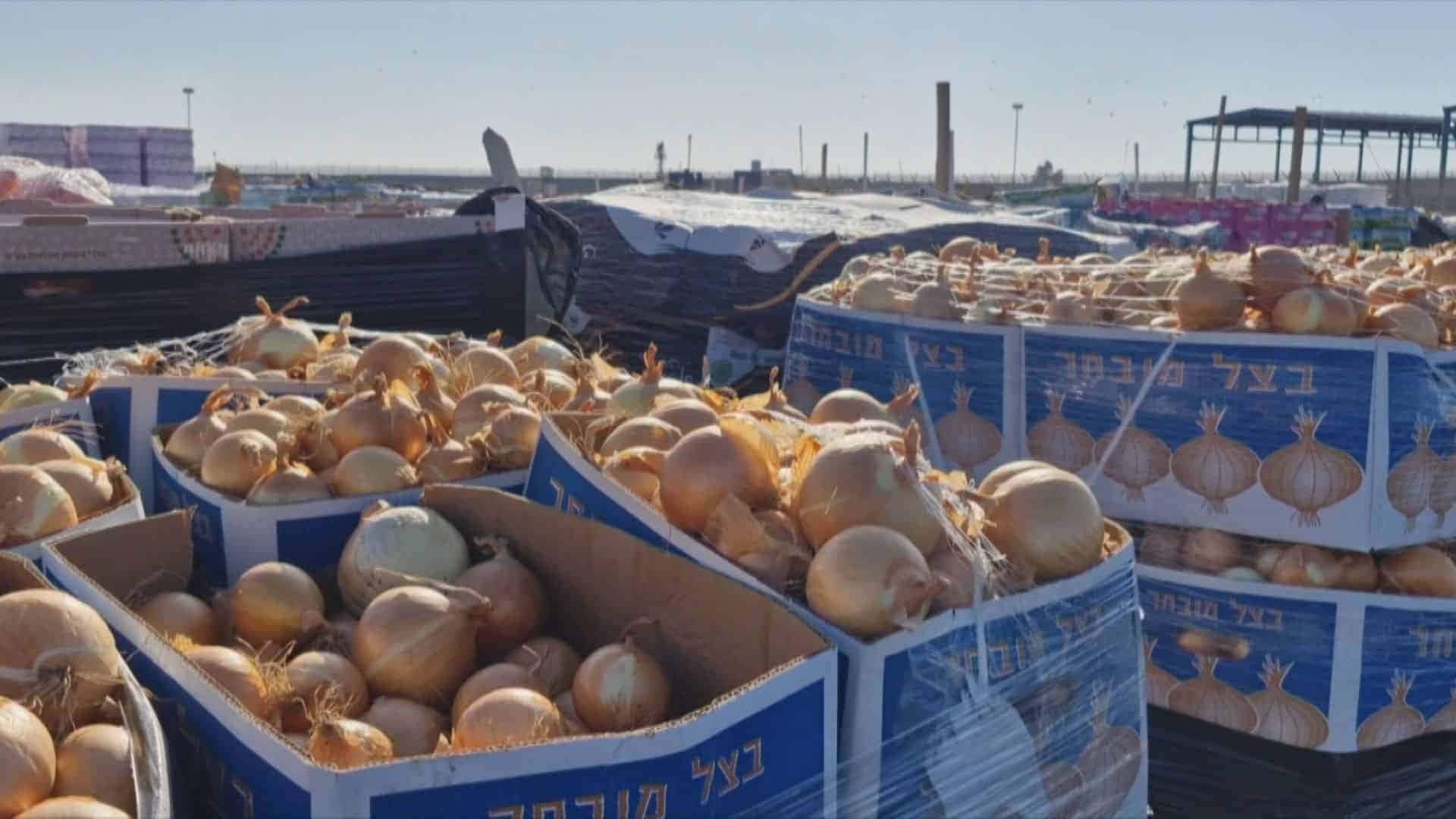 Comida-apodrece-Gaza