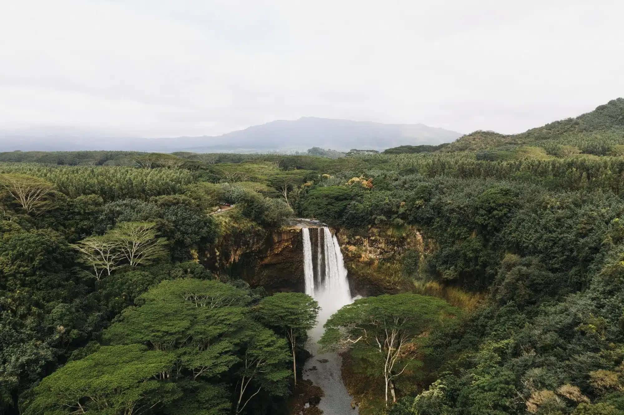 cachoeira-na-floresta-amazonica