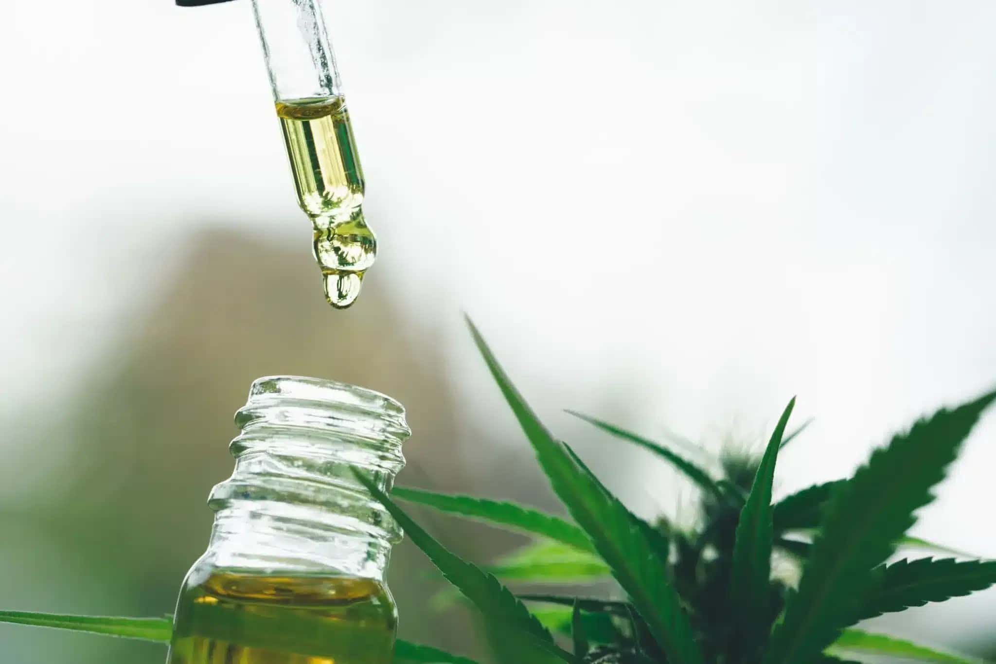 cannabis-medicinal