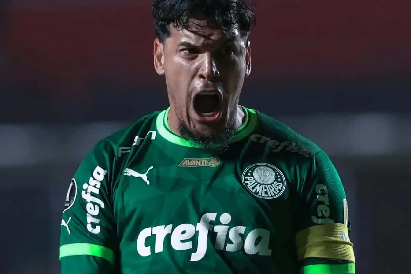 palmeiras21