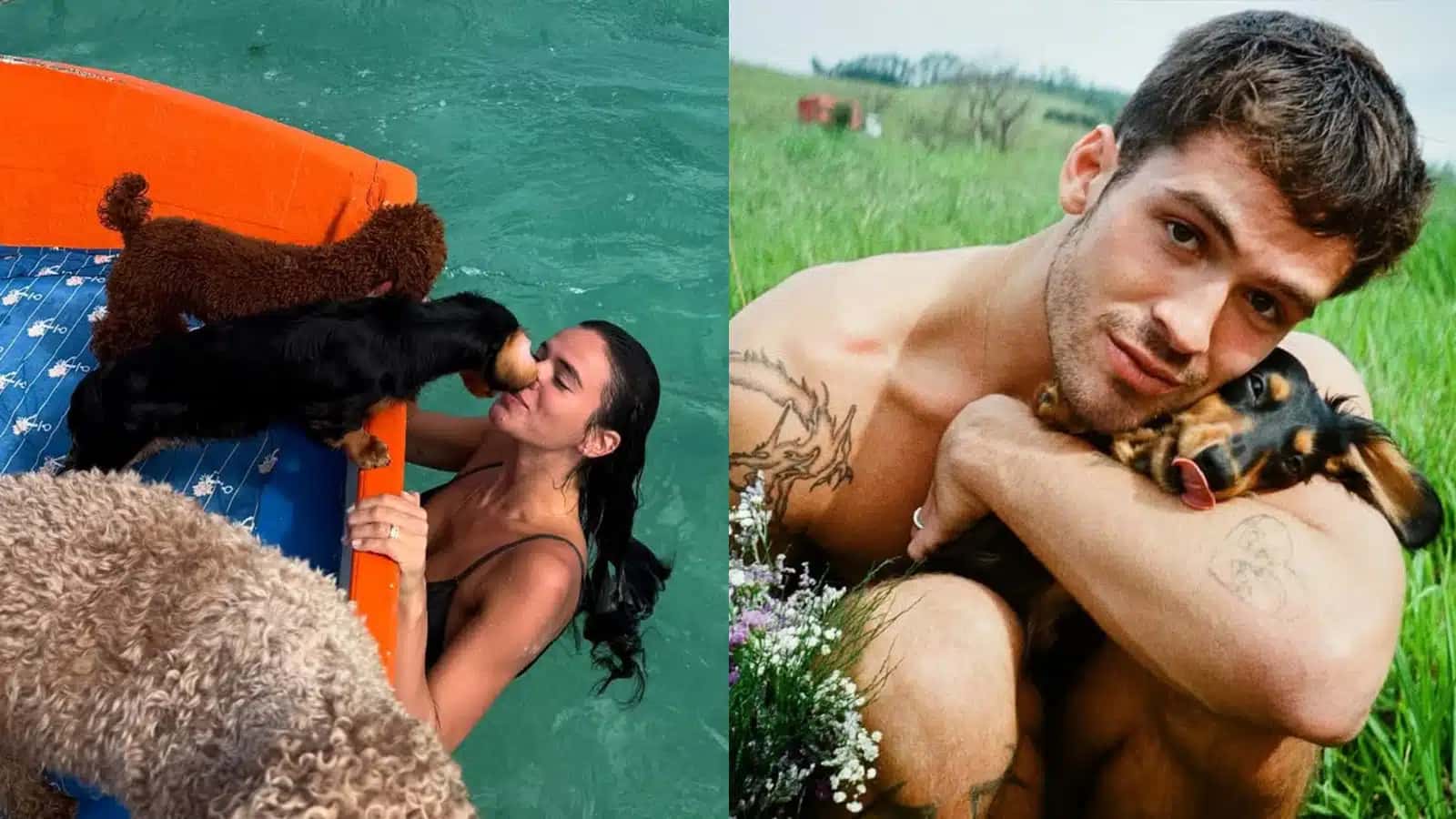 bruna-marquezine-joao-guilherme-cachorros
