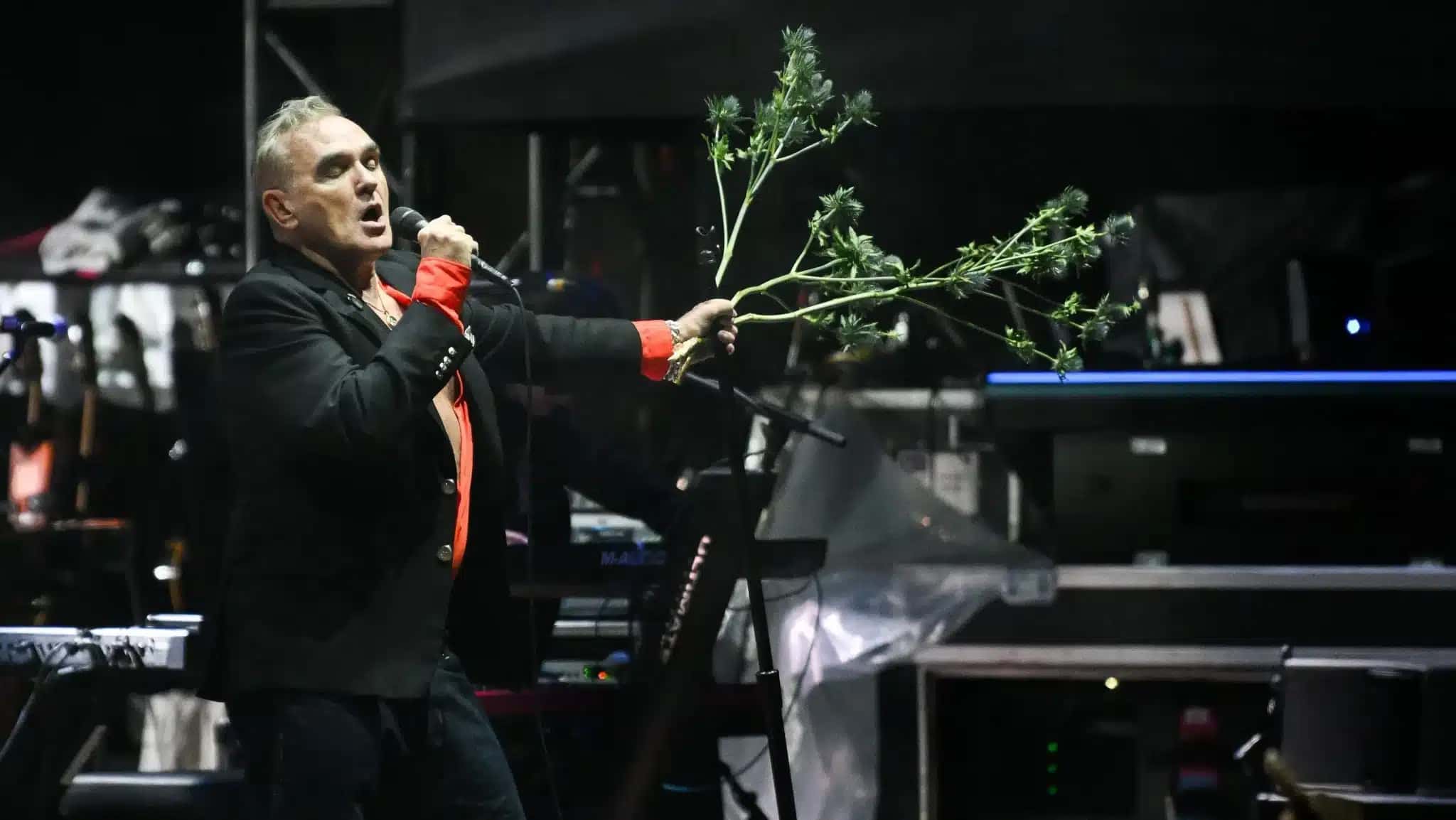morrissey-e1757001151213