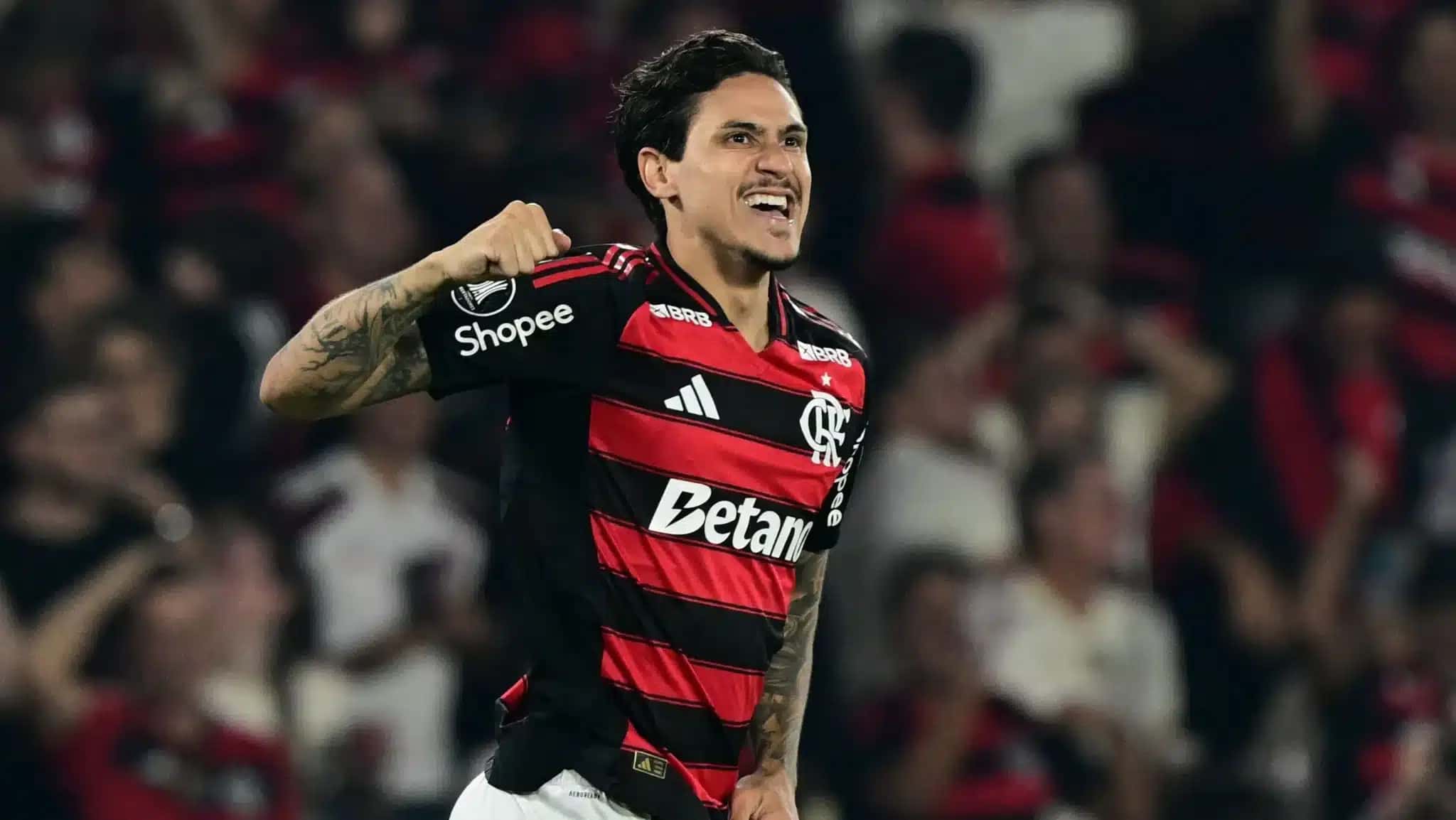 pedro_libertadores-e1758242917864