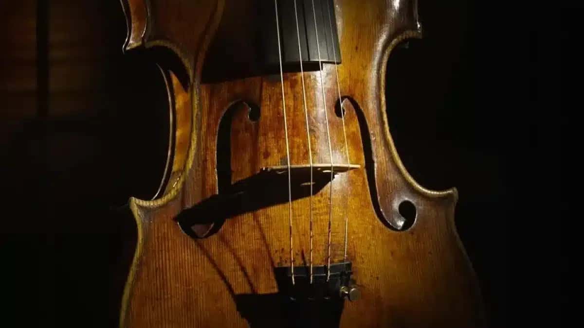 violino