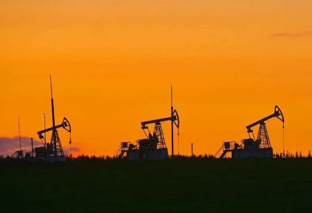 petroleo