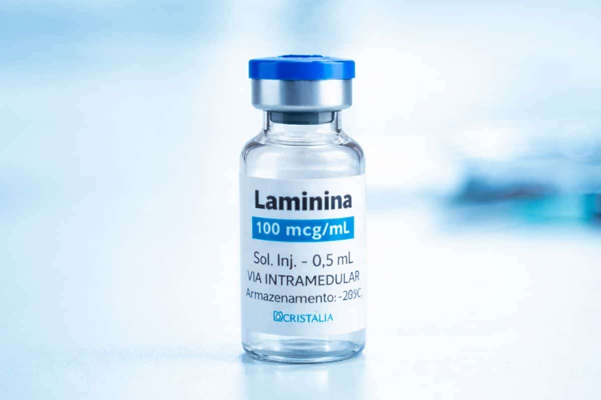 Polilaminina-2