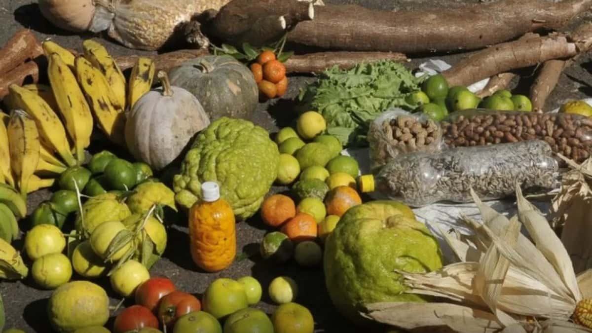 alimentos-848×477-1