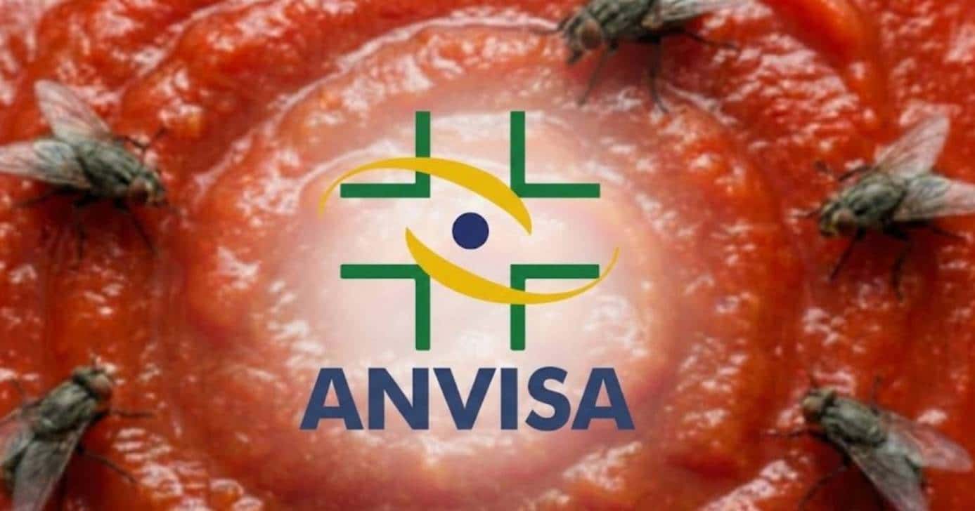 avinsa-moscas