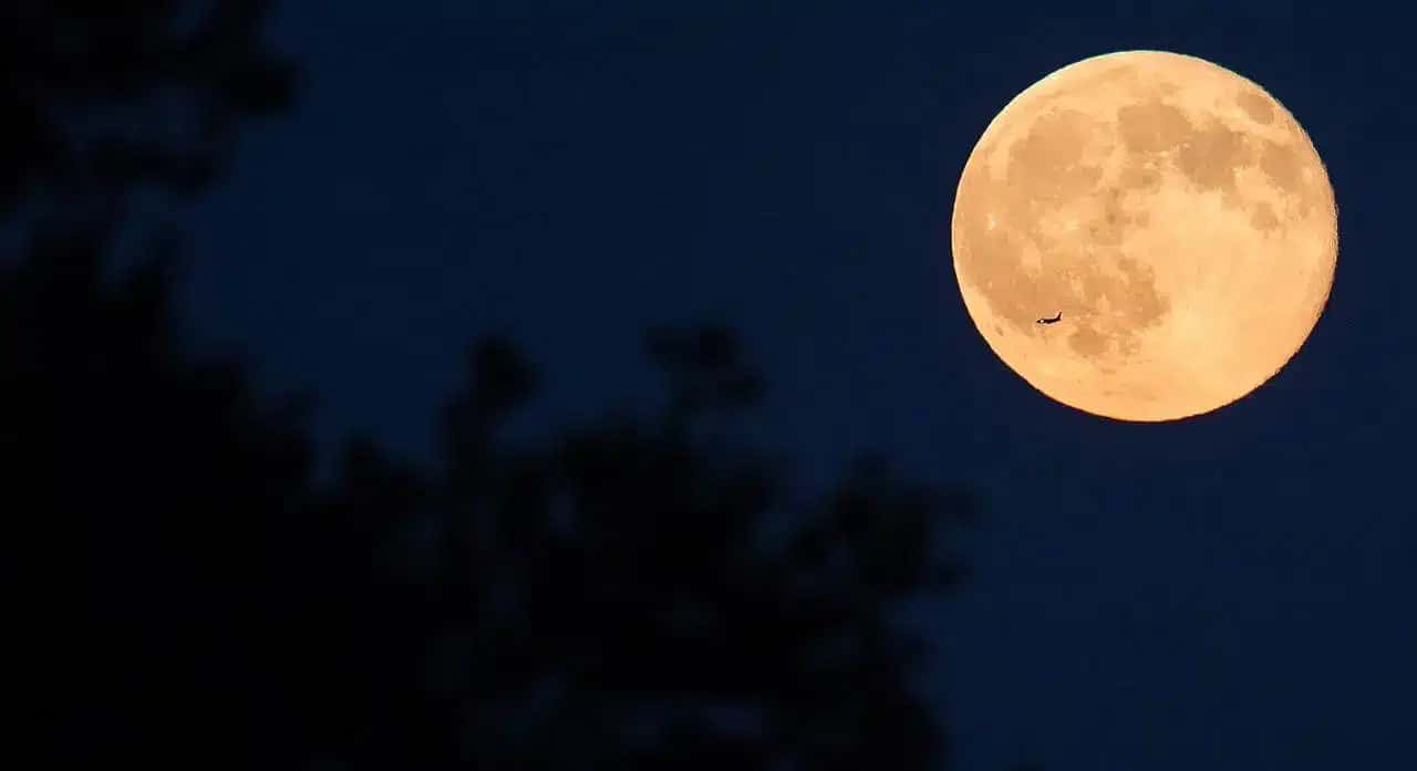 1966_Blue_Moon-1280