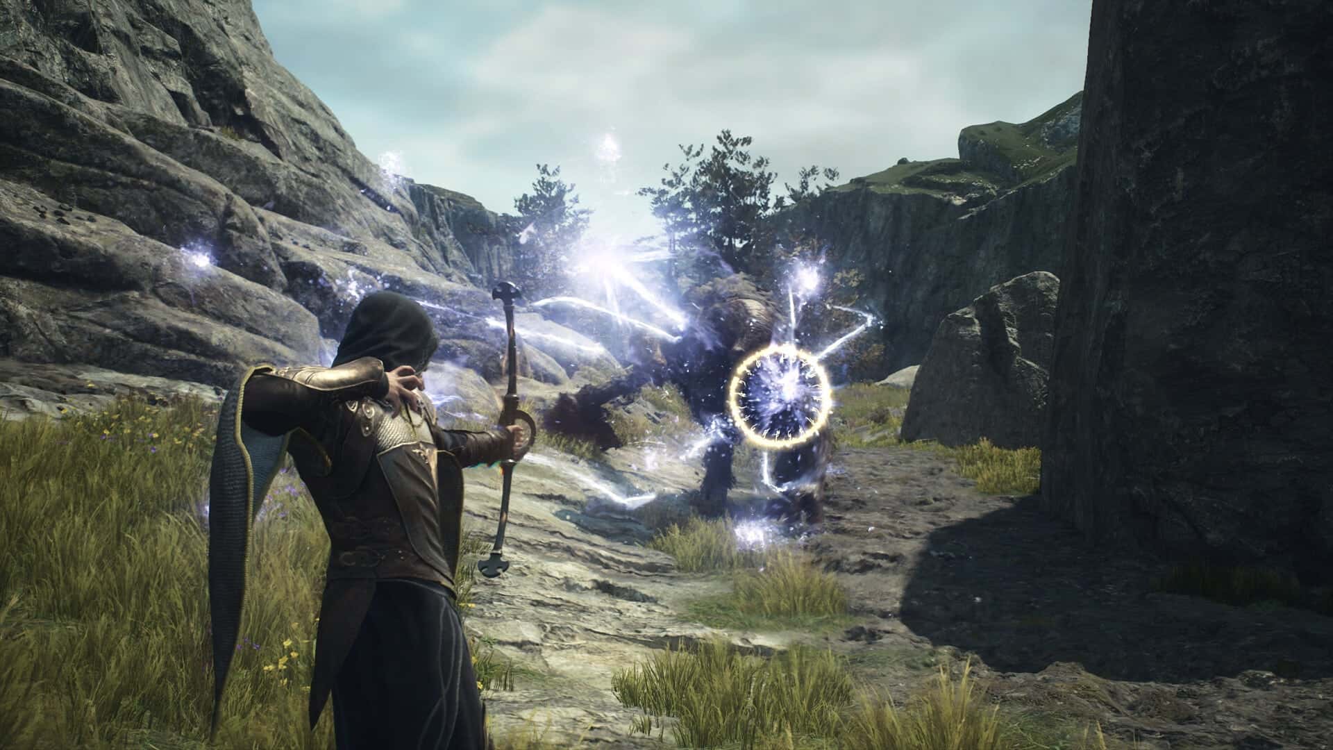 Dragons-Dogma-2-2
