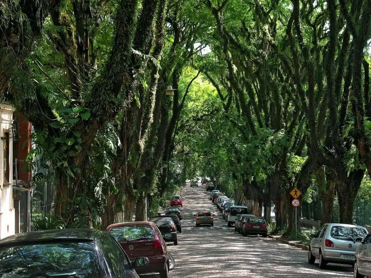 Rua_Goncalo_de_Carvalho