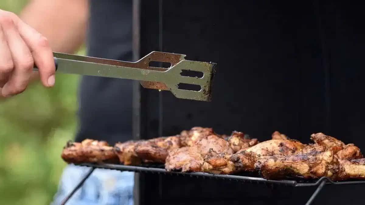 shashlik-6549723_1280-e1740495704963