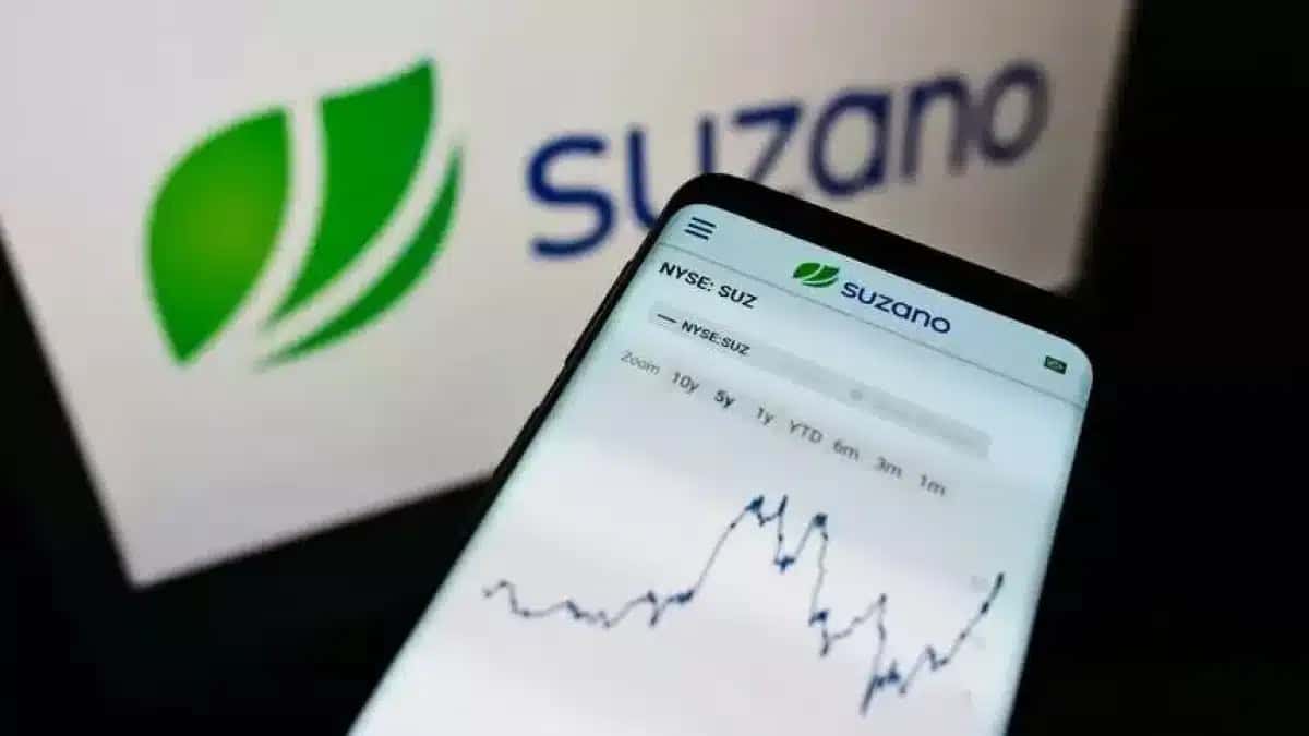 suzano-1