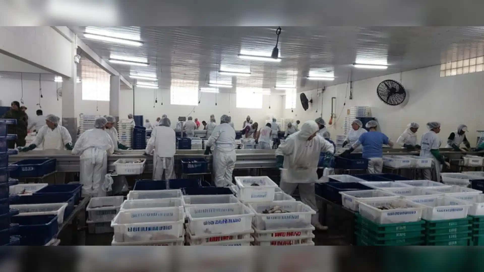 APURACAO-CNN-30
