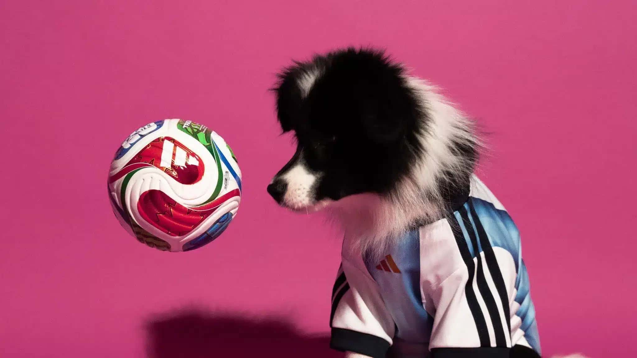 adidas-camisa-copa-pets-e1777385449352