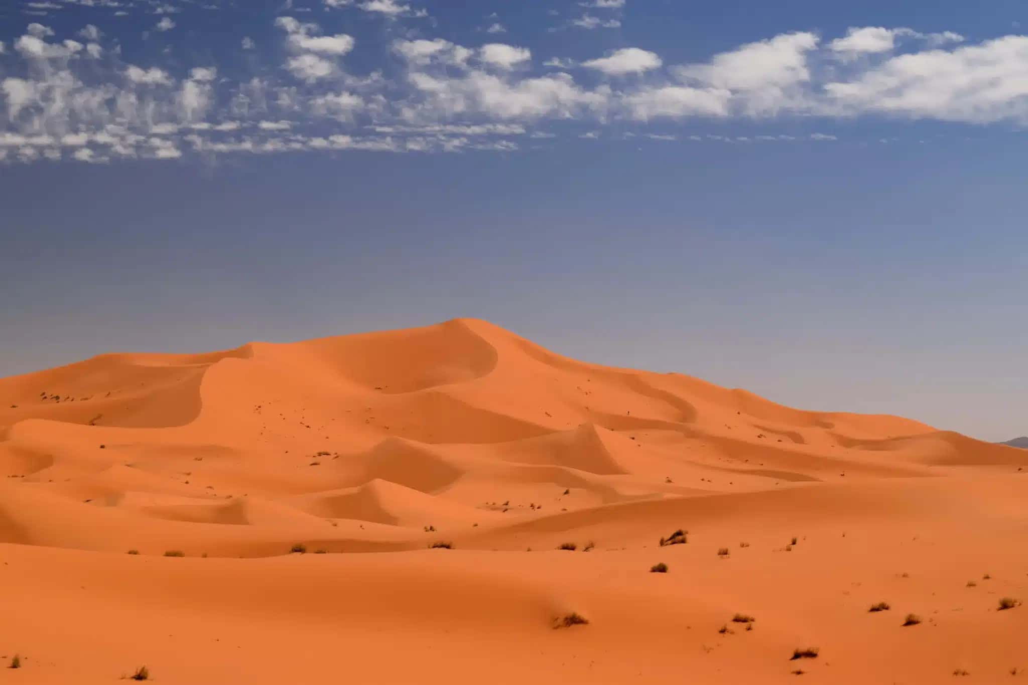 duna-estelar