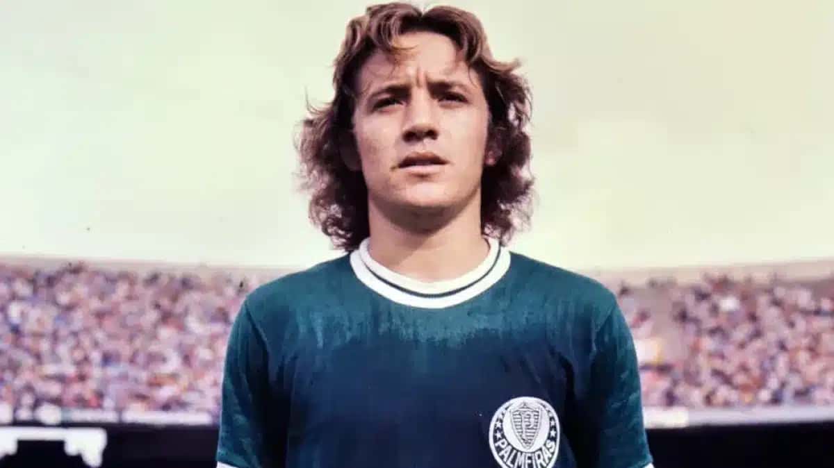 leivinha-palmeiras-academia-e1780596107550