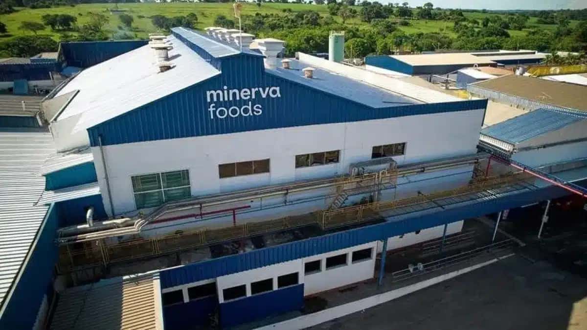 Minerva foods