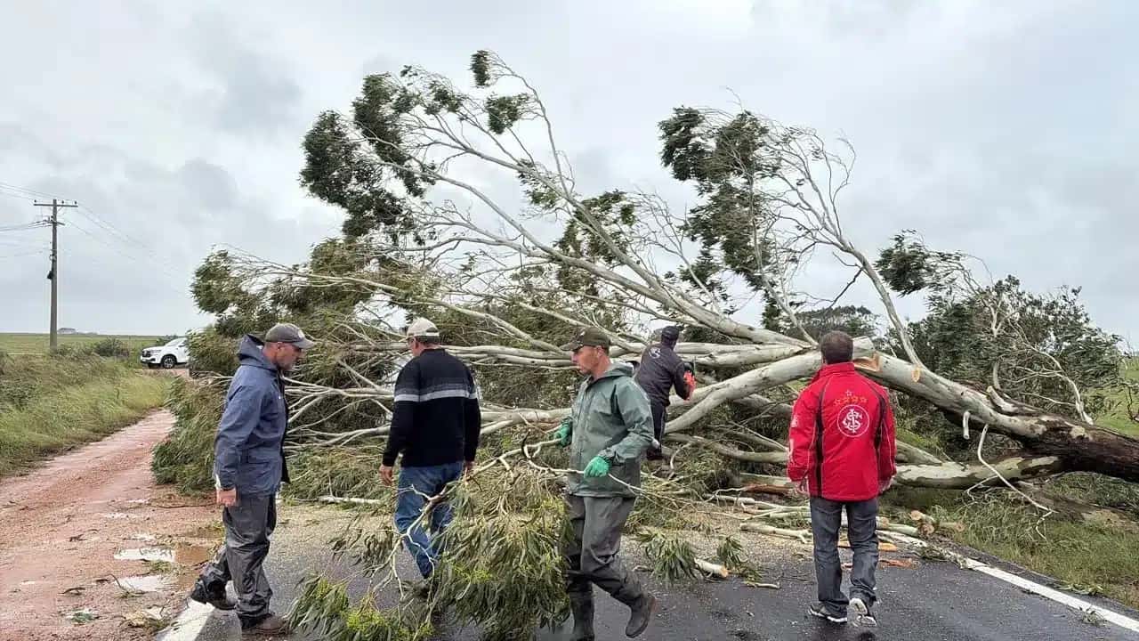 O Rio Grande do Sul apresentou fortes ventos na região Sul do estado, nesta quarta-feira (8)