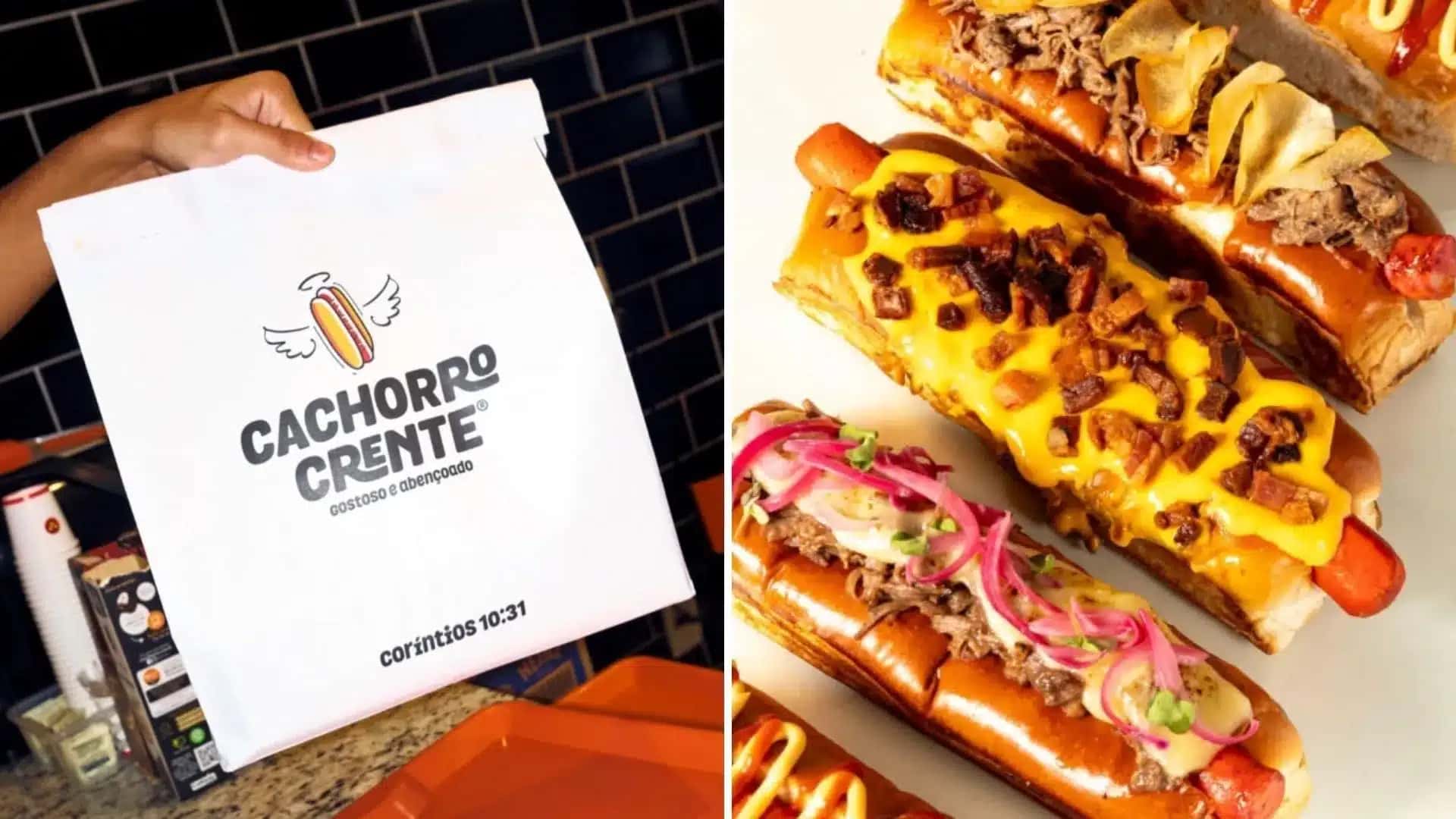“Gostoso e abençoado”: ciência explica sucesso de ‘cachorro crente’ no RJ – 1