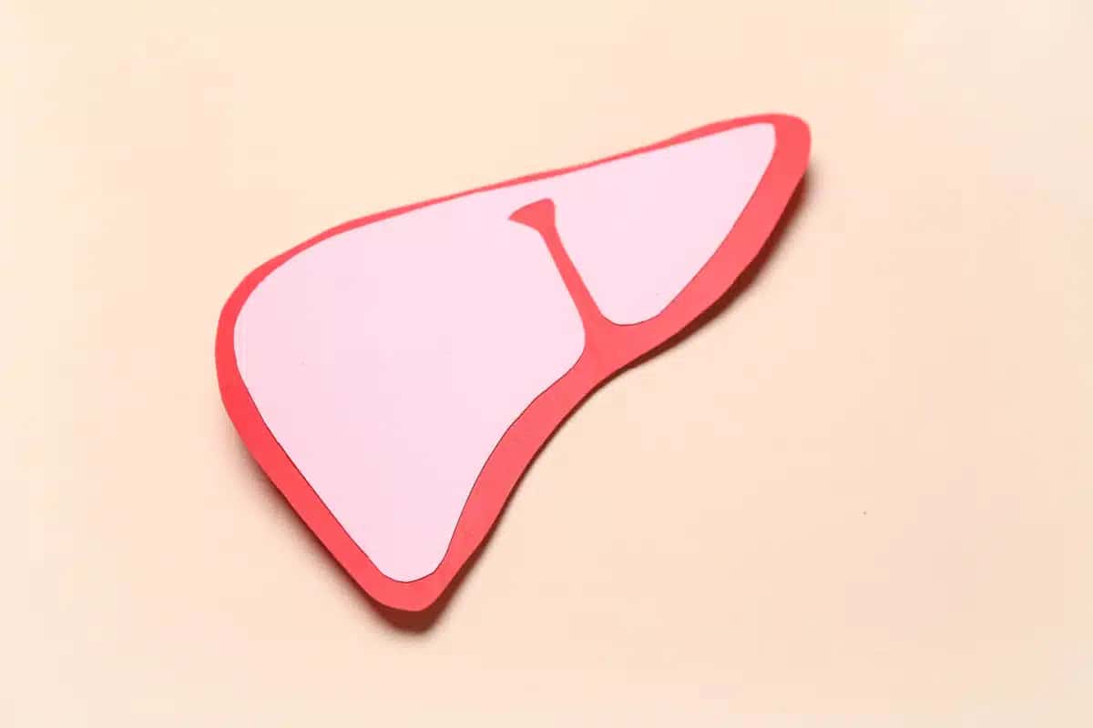 figado-hepatites-virais
