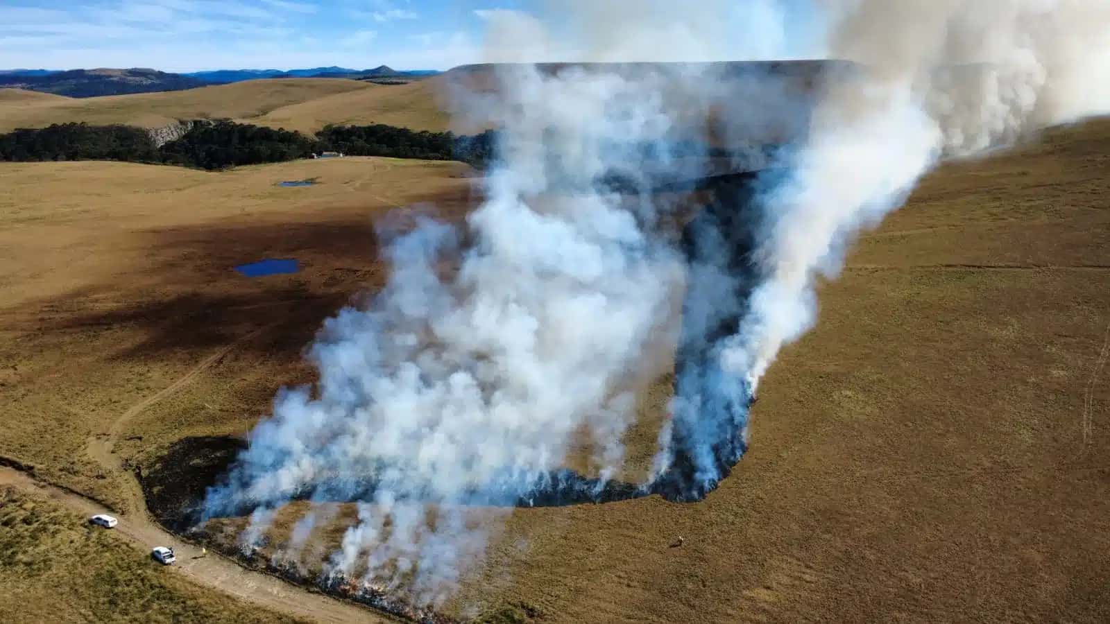 Queima prescrita foi realizada após avaliação do vento, da temperatura, da umidade da vegetação e do material combustível